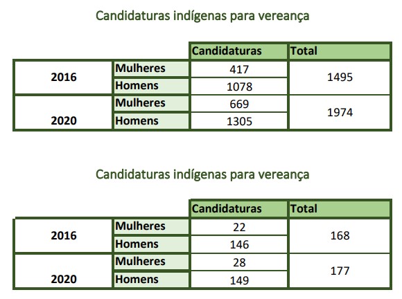 A tabela baseada nos dados da Oxfam Brasil mostra que a representatividade de indígenas nas câmaras municipais é mínima